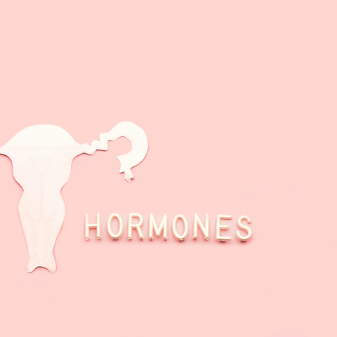 picture of the word hormones and of the womb