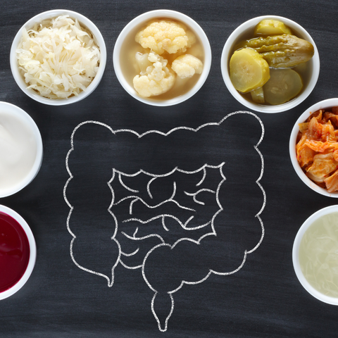 image of intestines and fermented food like kimchi and keffir