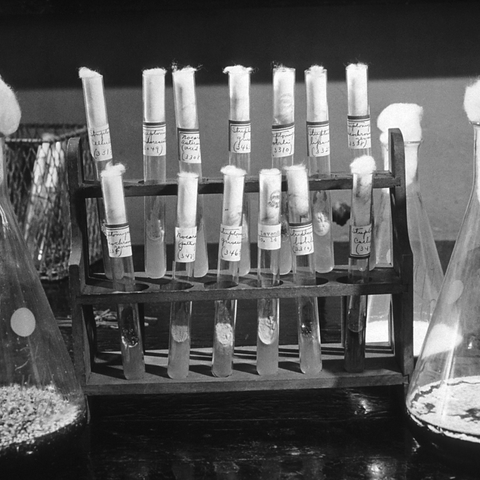 old image of medicine and test tubes