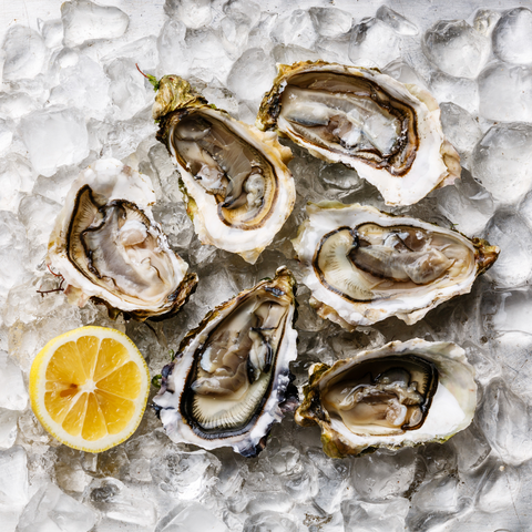 oysters on ice with a lemon