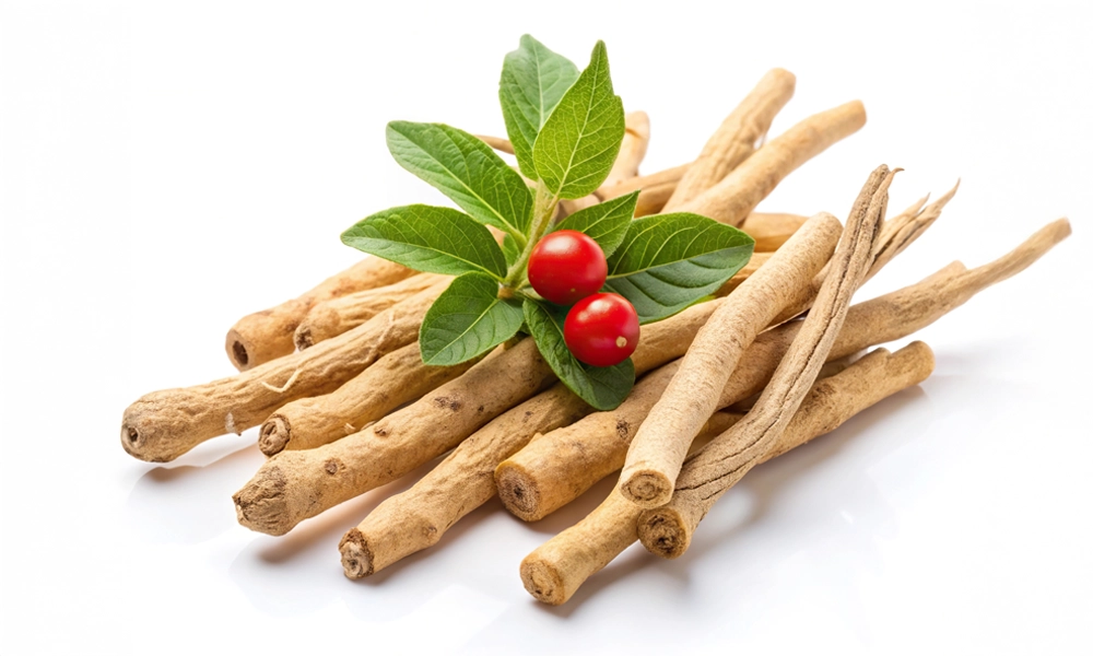 Ashwagandha.webp__PID:9f74ff65-d362-4af4-b4a0-1051f2b8ecef