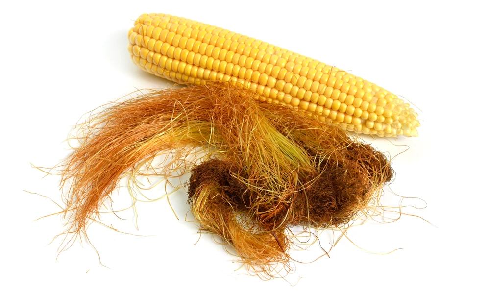 Corn-Silk.webp__PID:81efdaaf-16ea-477c-92cd-9aa50b943192