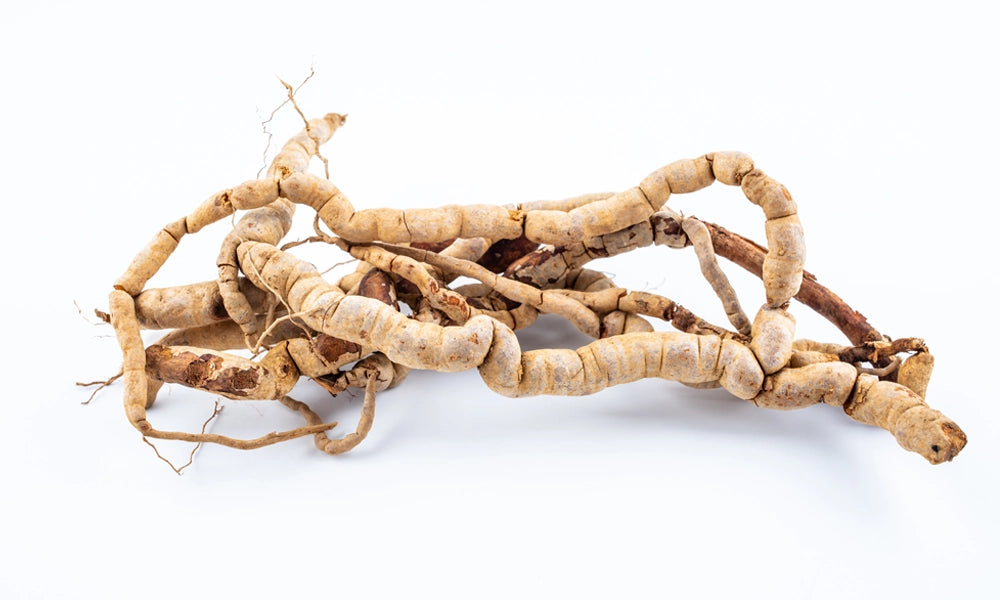 Morinda Root.webp__PID:71aef3a9-1ed8-45dd-b479-f658467b1ad7