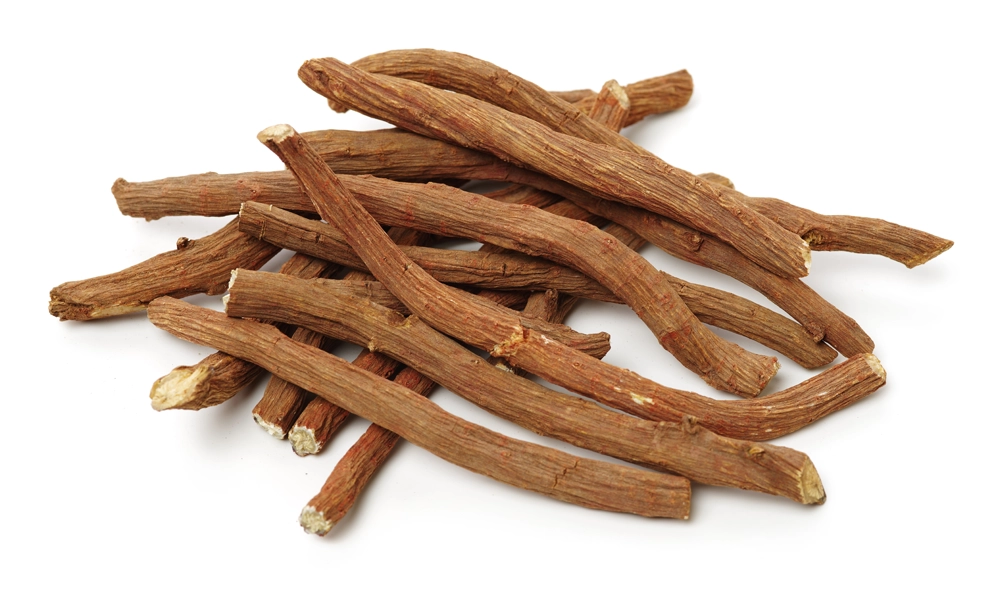 Salvia-Root.webp__PID:abd65a1d-9c0c-4df5-9e21-a82f07d484e8