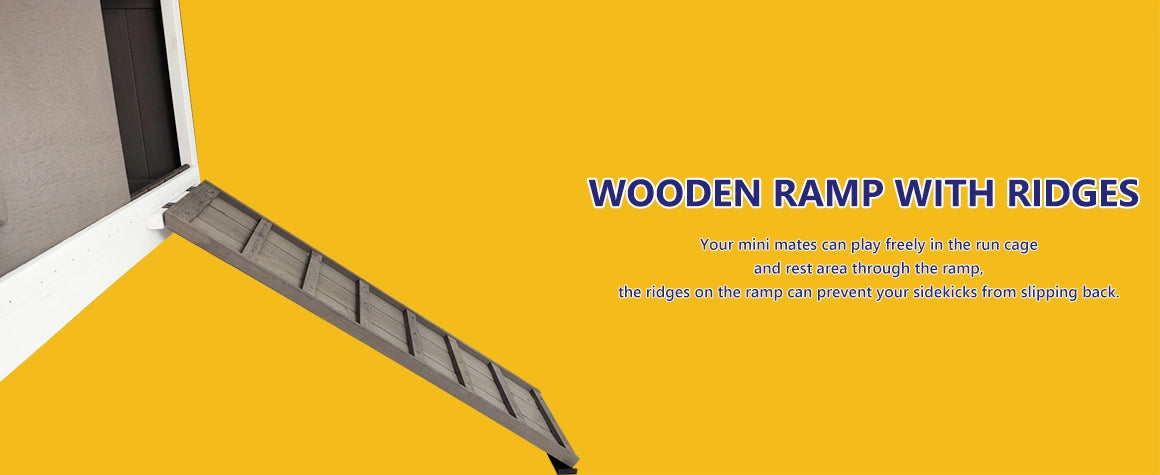 Long ramp connects roosting area to open chicken run