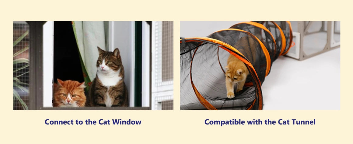 Bridge and perch design encourages feline activity and enrichment