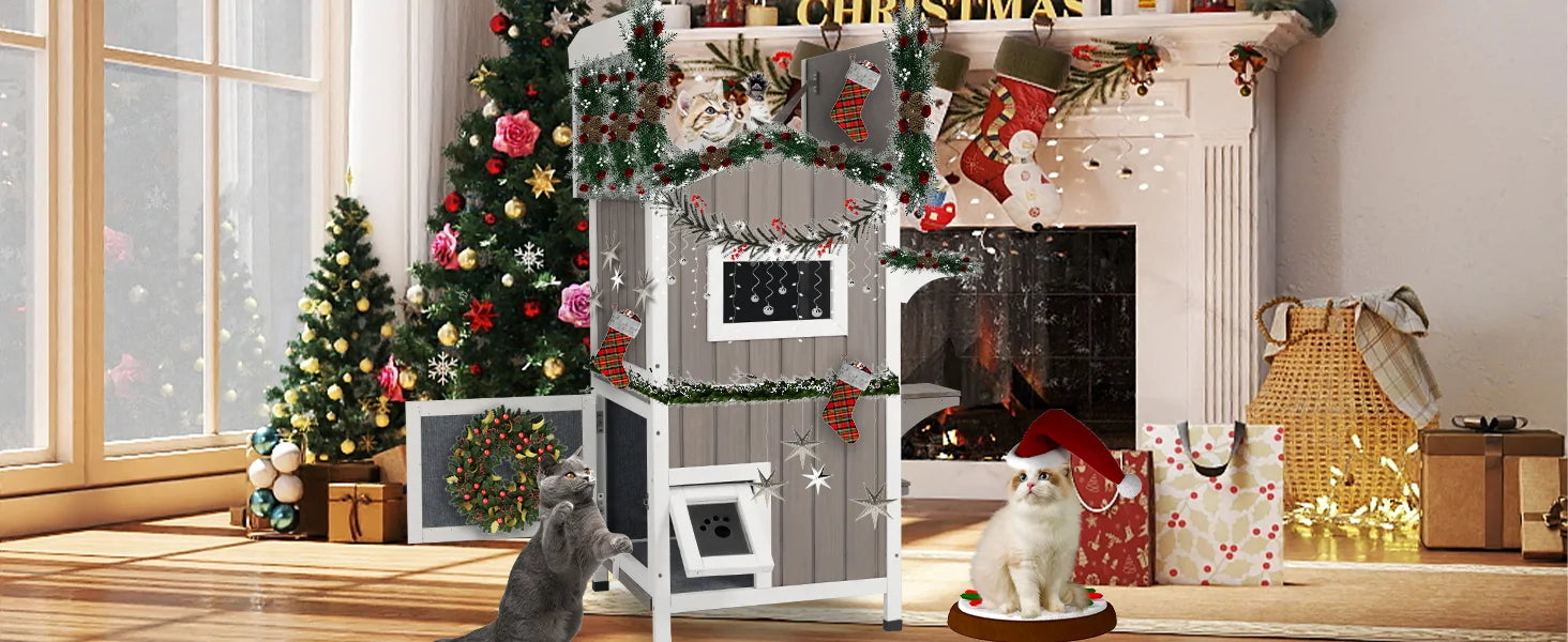 Lifestyle image: outdoor cats resting in insulated shelter