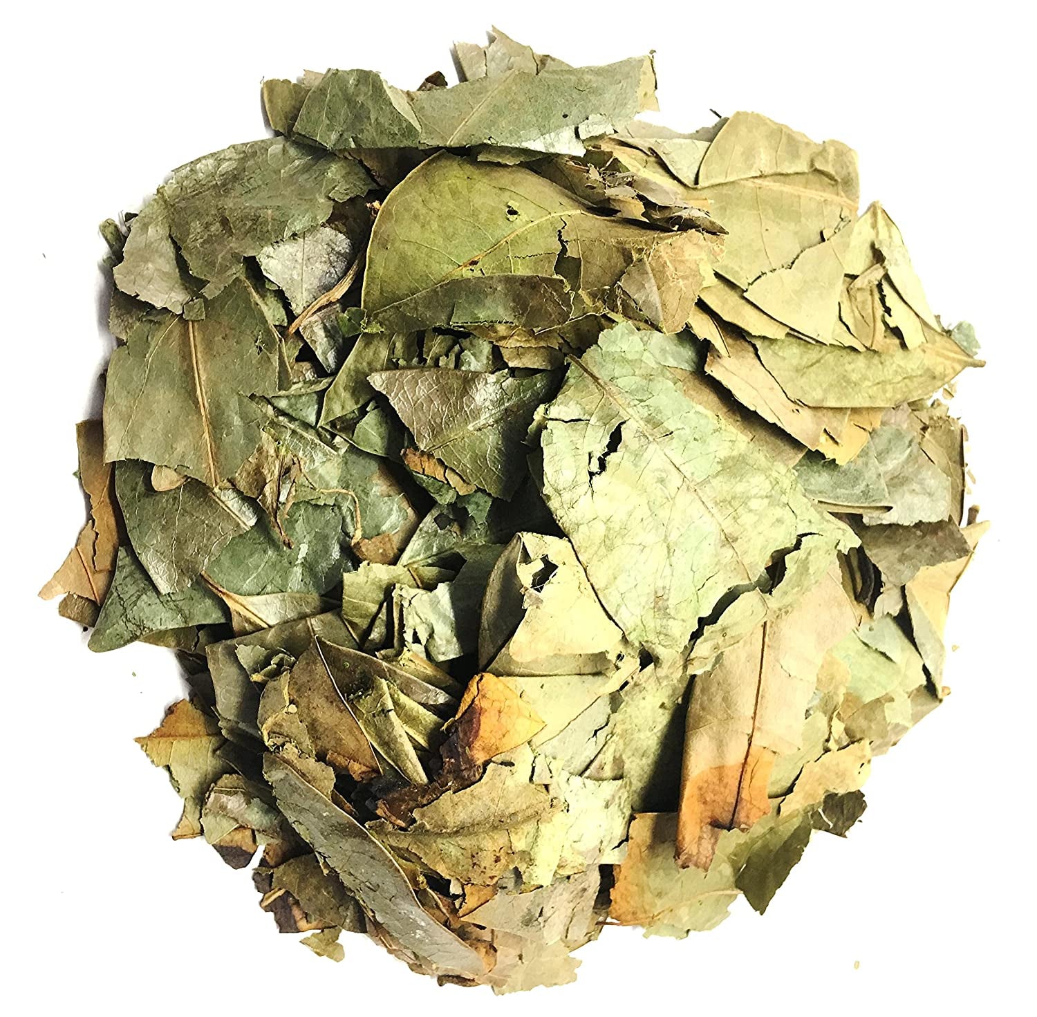 Soursop Leaf Tea - Herbal and Organic Graviola Leaves from Peru - for the Maintenance of Good Health - Zip-Lock Bag (35G) 1.05Oz - 100% Natural and Caffeine Free Guanabana