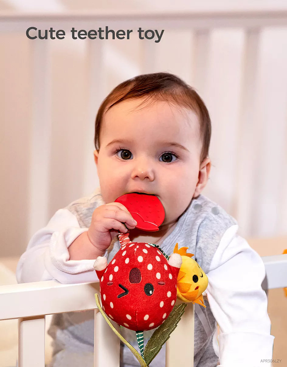 Baby chewing on strawberry toy hanging fruit rattle