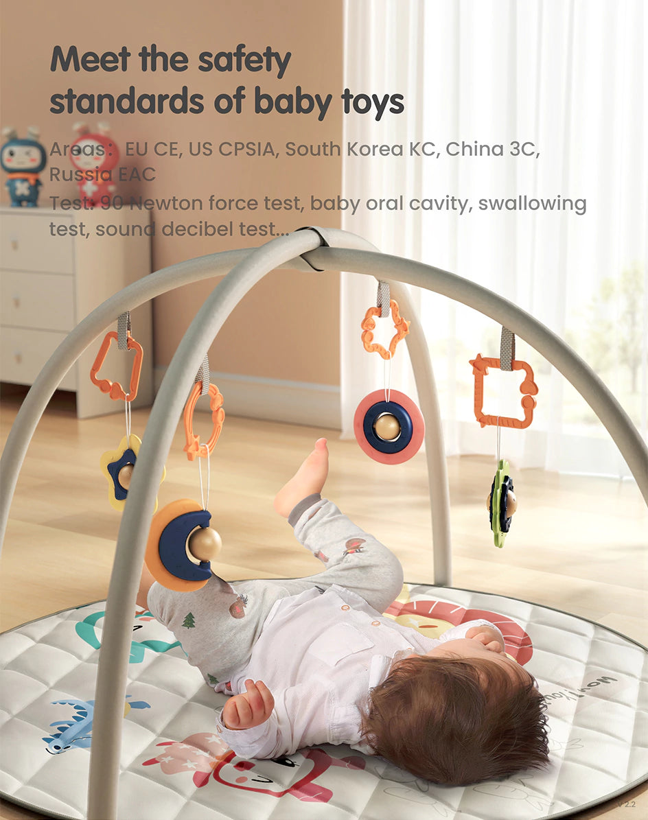 Meet the safety standards of baby toys