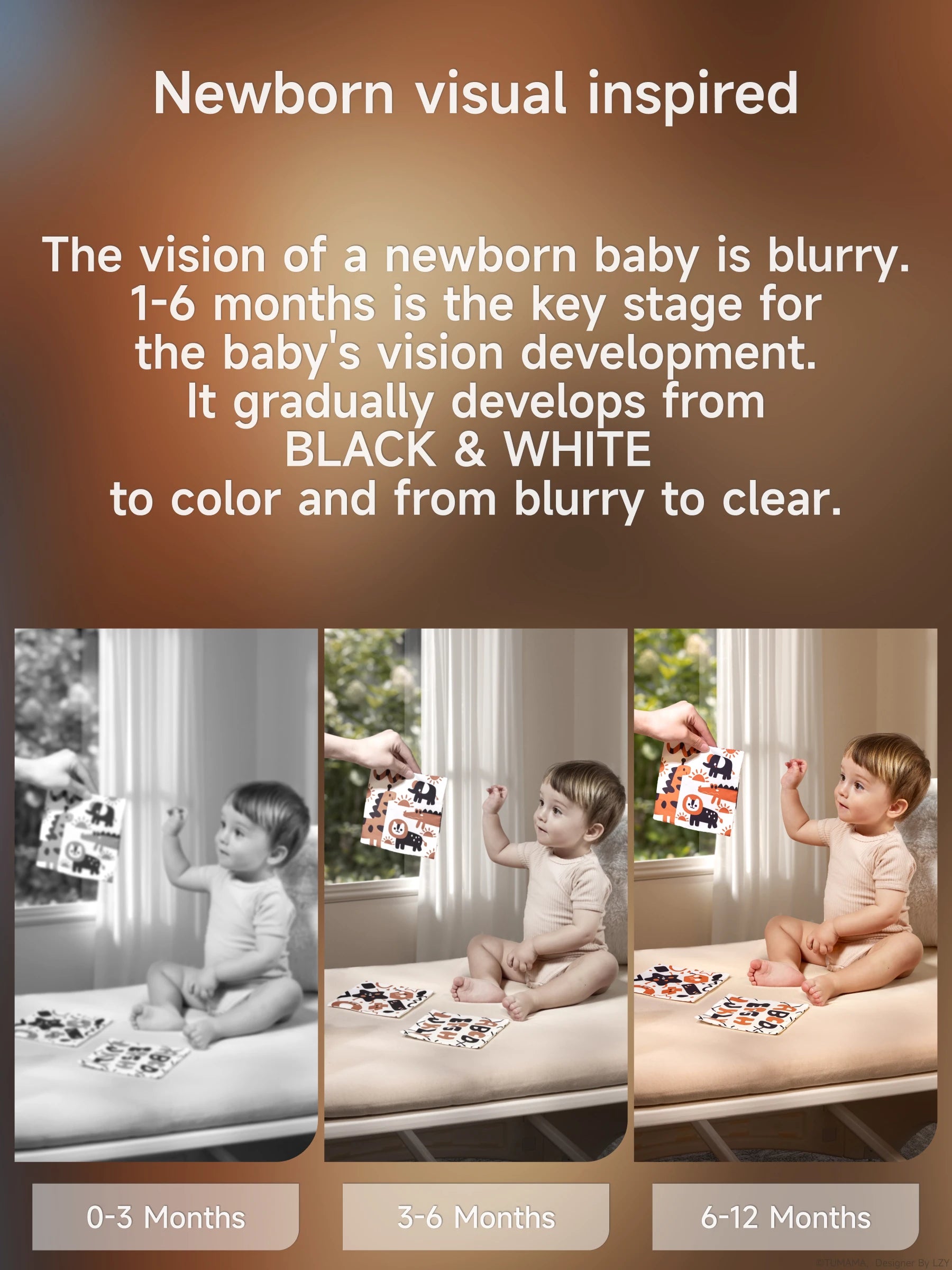 Stages of newborn visual development from 0-12 months, showing baby’s vision progressing from blurry black and white to clear color using high-contrast sensory flash cards