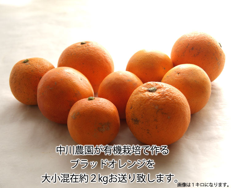 有機栽培ブラッドオレンジ