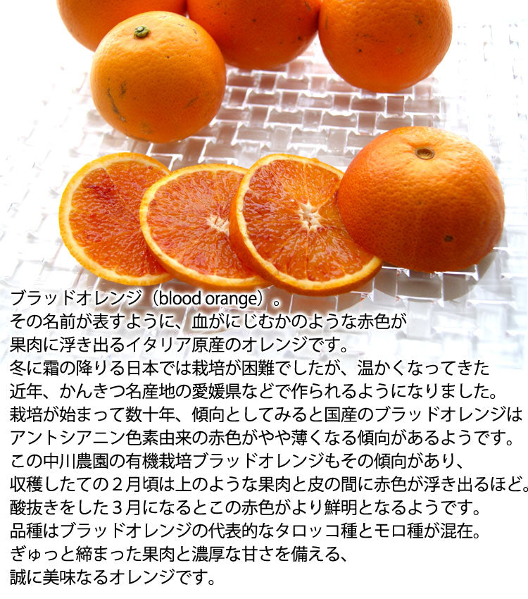 中川農園の有機栽培ブラッドオレンジ