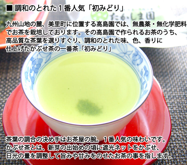 無農薬無化学肥料栽培でつくる玉緑茶初みどり