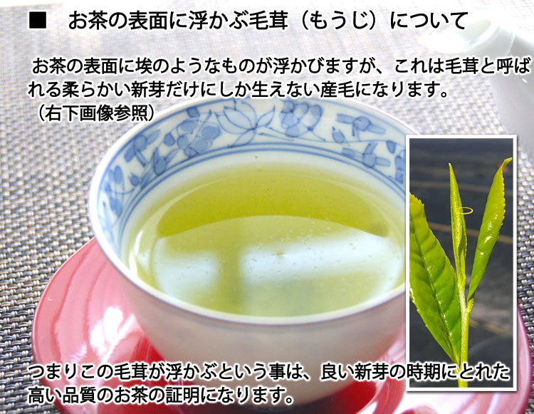 新鮮なお茶につく毛茸（もうじ）について