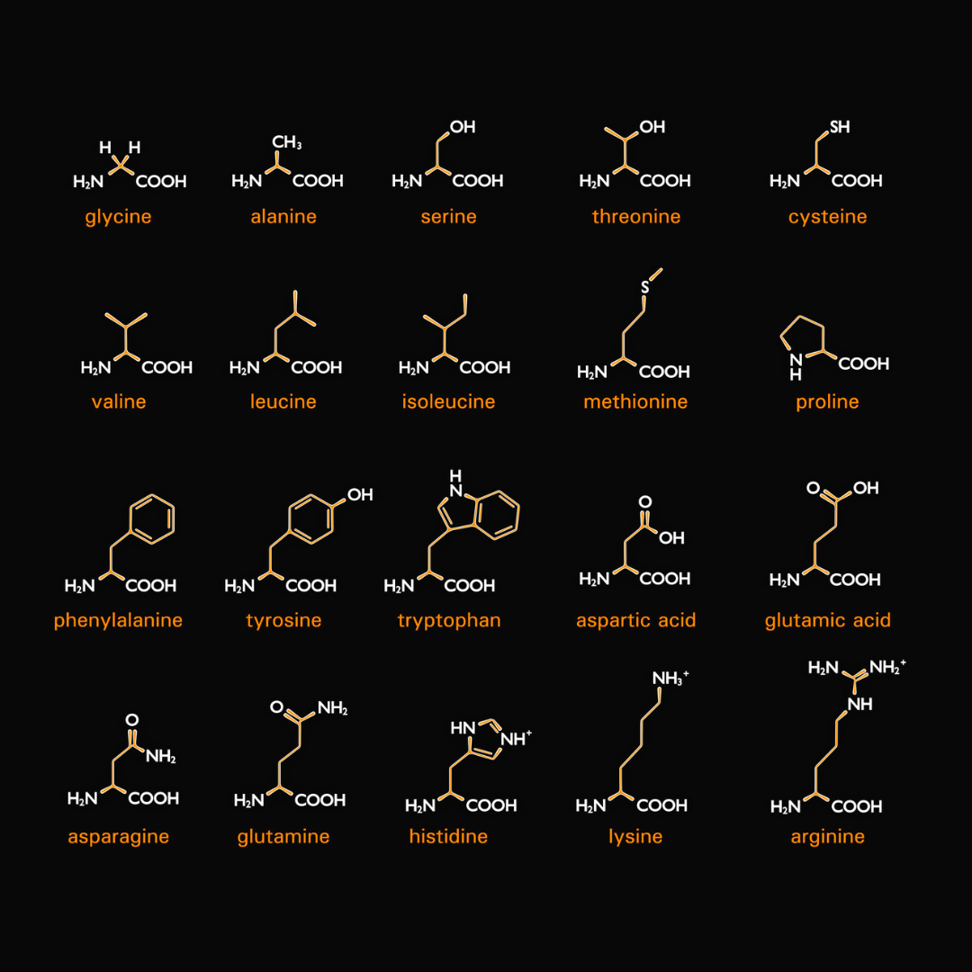 amino acid molecules on black background