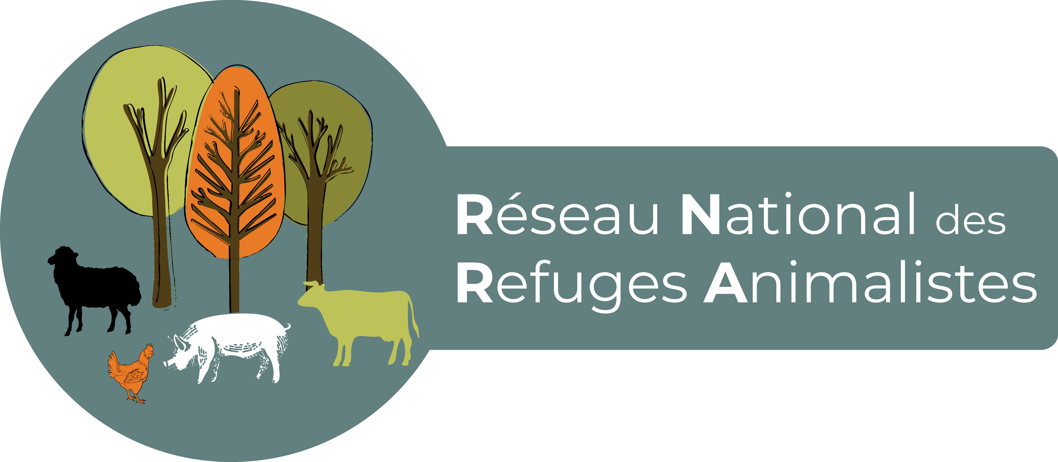 Logo RNRA