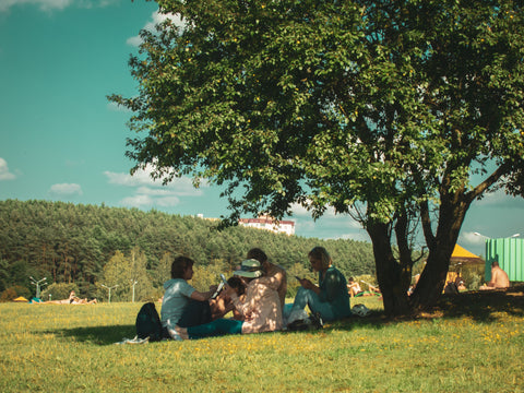 Group of friends sitting under the shade of a tree on a hillside