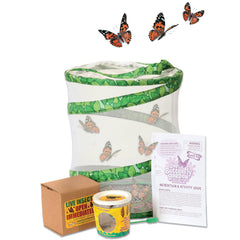 fun indoor butterfly farm activity