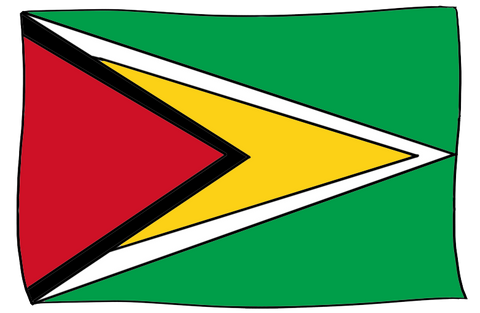 Guyana flag