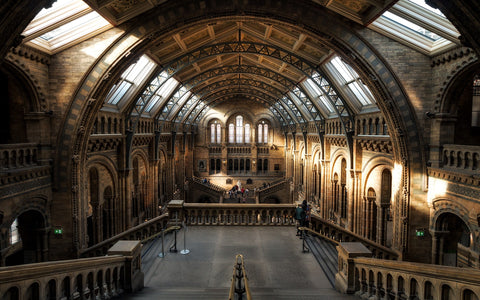 cheap things to do in the summer holidays