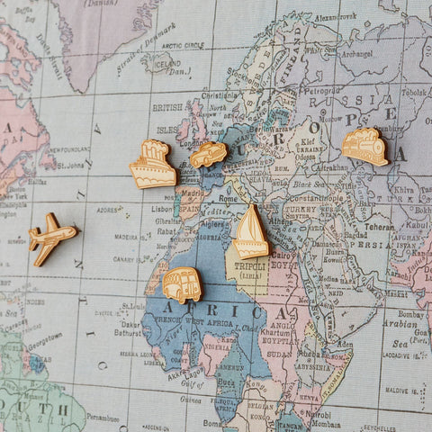 world map travel tracker pins