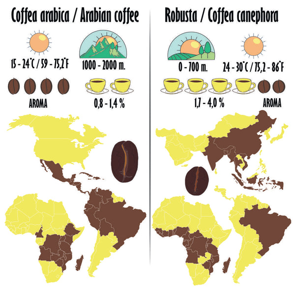 Countries Which Grow Coffee