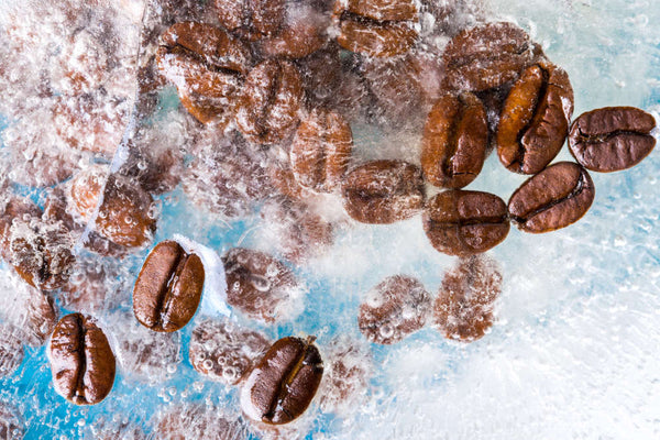 Why coffee storage is important. Don't freeze your coffee beans