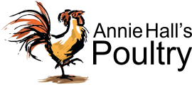 Annie Halls Poultry Chickens And Ducks For Your Garden Bristol