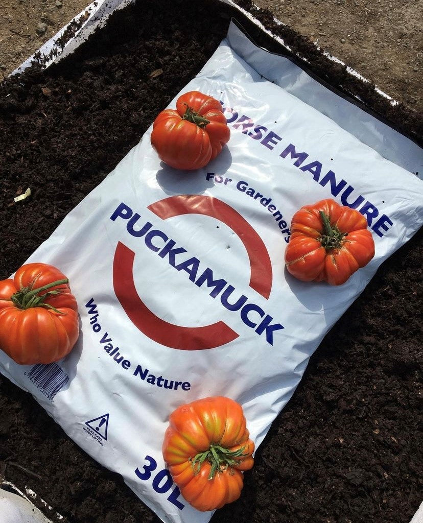30 Litre Sack - Well rotted horse manure