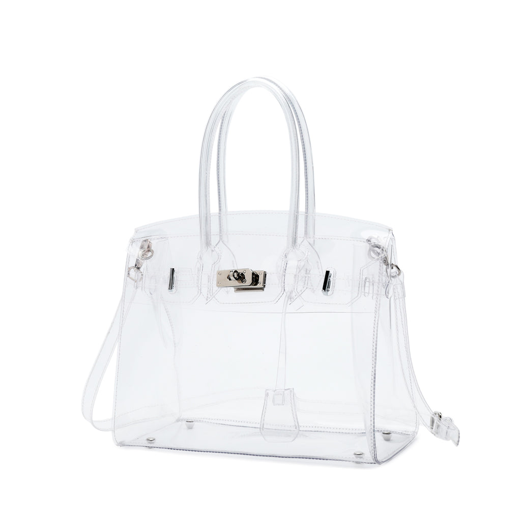 clear birkin bag