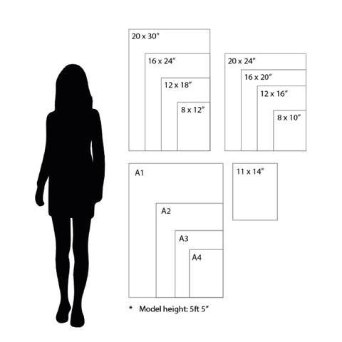 Frame Sizing from Kenro