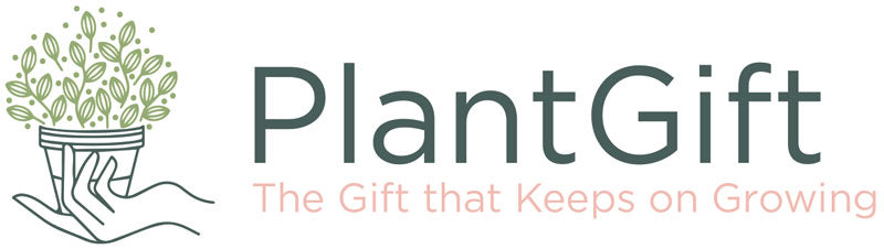 Plant Gift