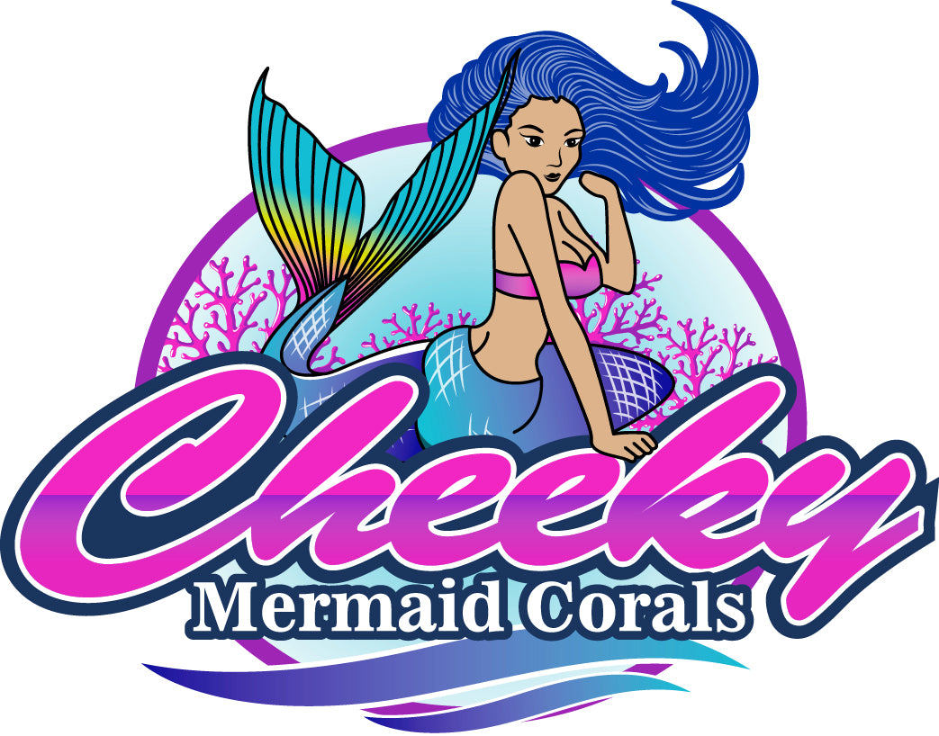 Cheeky Mermaid Corals