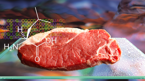 leucine