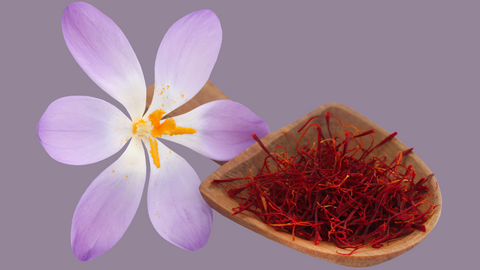 Indian saffron