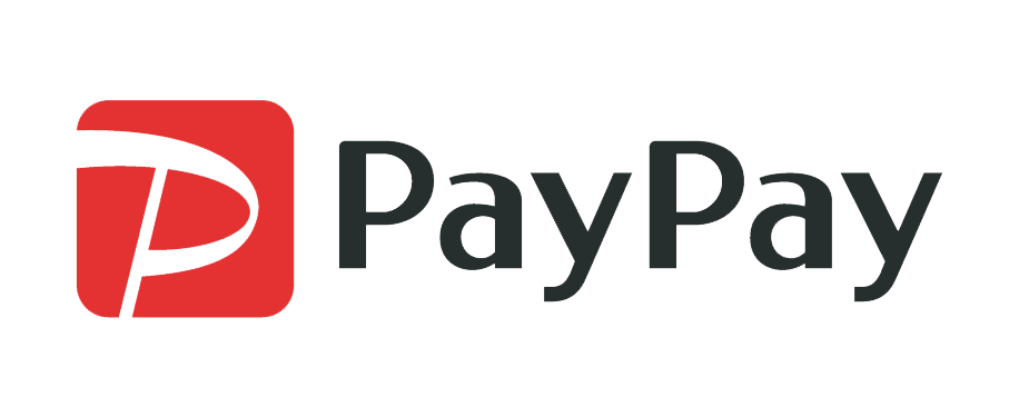 payPay icon