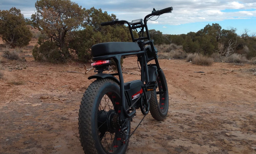 Tomofree FG20 1200 Watt Fat Tire Mountain Ebike