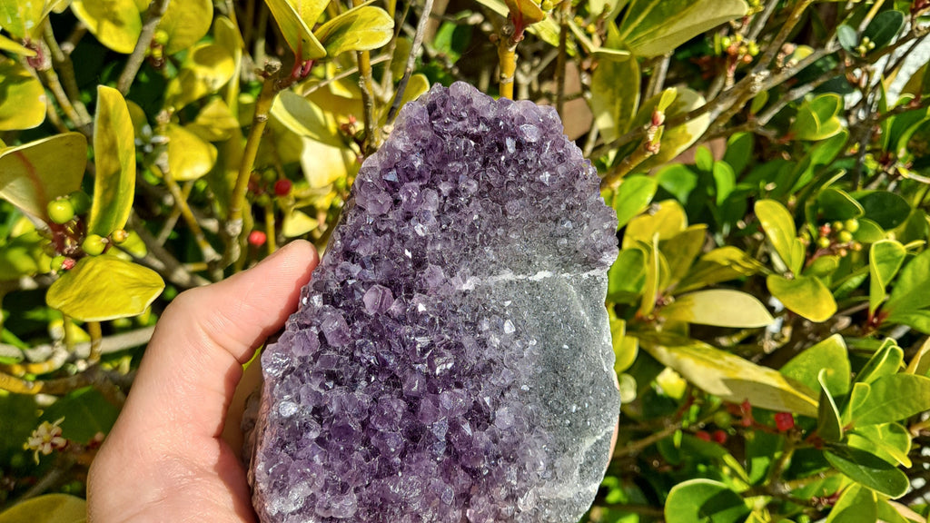 image of amethyst cluster. this healing crystal is available at dumi's crystals