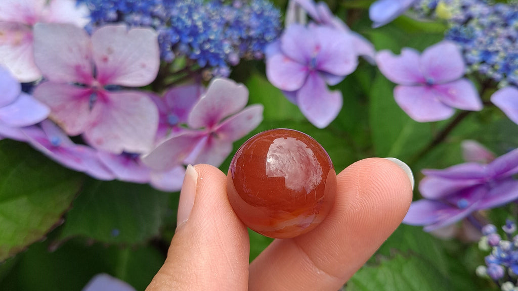 image of a carnelian mini sphere. this crystal is available at dumi's crystals