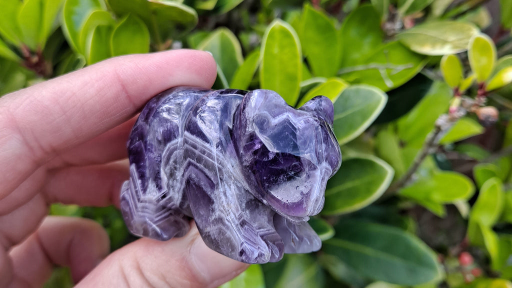 image of a chevron amethyst bear carving. This healing crystal is available at dumi's crystals