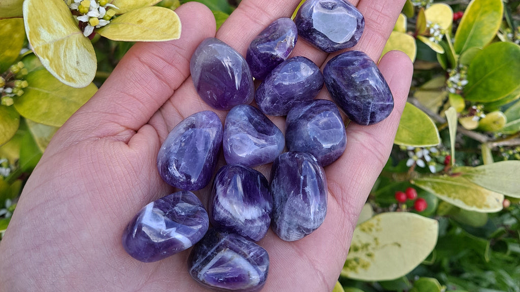 image of chevron amethyst tumbled stones. this healing crystal is available at dumi's crystals