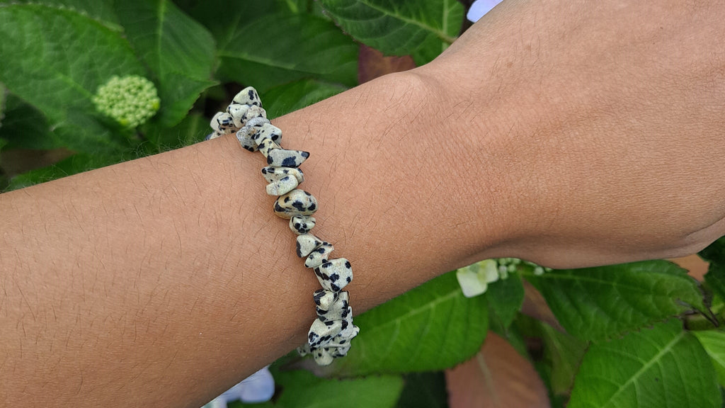 image of a dalmatian jasper chip bracelet. This healing crystal is available at dumi's crystals