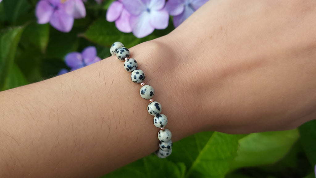 image of a dalmatian jasper bracelet. This healing crystal is available at dumi's crystals