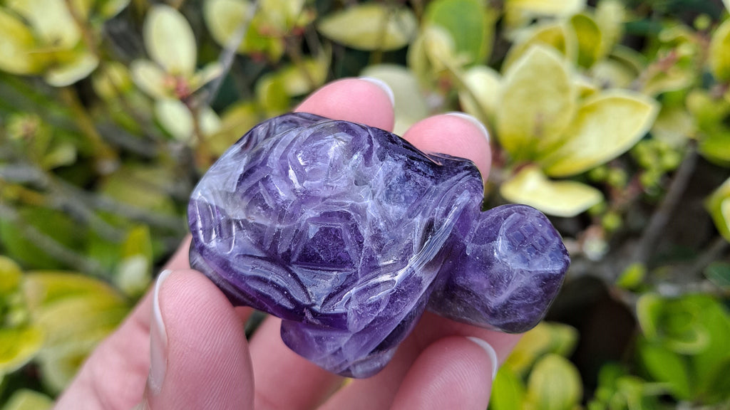 image of a dream amethyst tortoise carving. This healing crystal is available at dumi's crystals