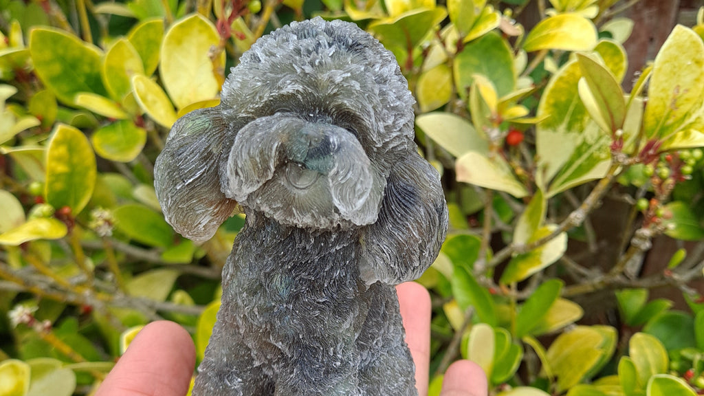 image of a labradorite poodle made with labradorite chips and resin. this poodle is available at dumi's crystals