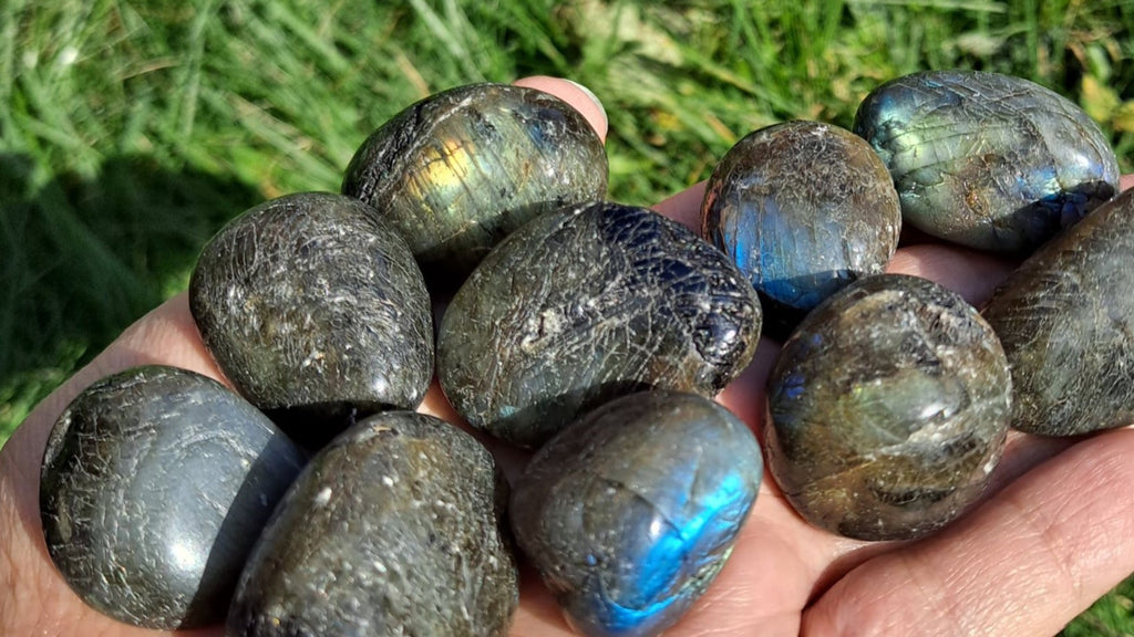 image of labradorite tumbled stones. this crystal is available at dumi's crystals