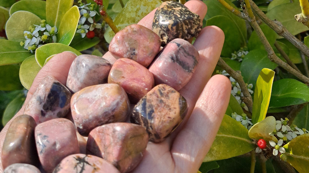 image of rhodonite tumbled stones. These healing crystals are available at dumi's crystals