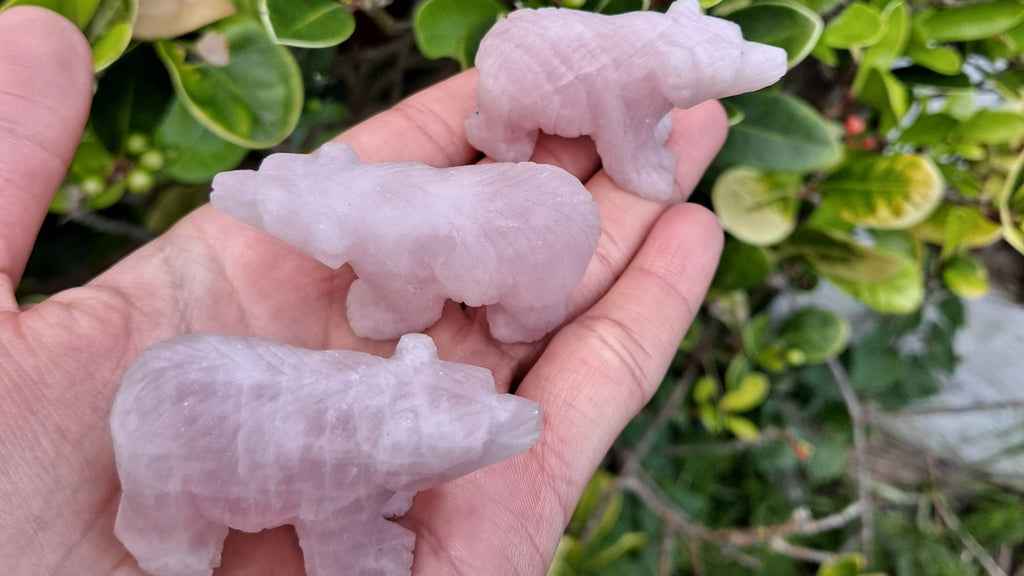 image of 3 rose quartz bear bears carvings. these bears are available at dumi's crystals