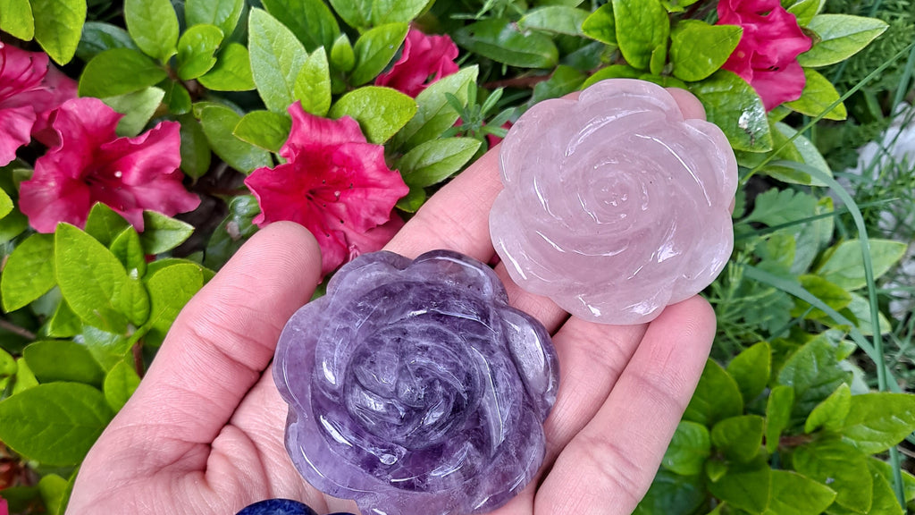 image of one rose quartz and one amethyst rose carving. These crystal roses carvings are available at dumi's crystals